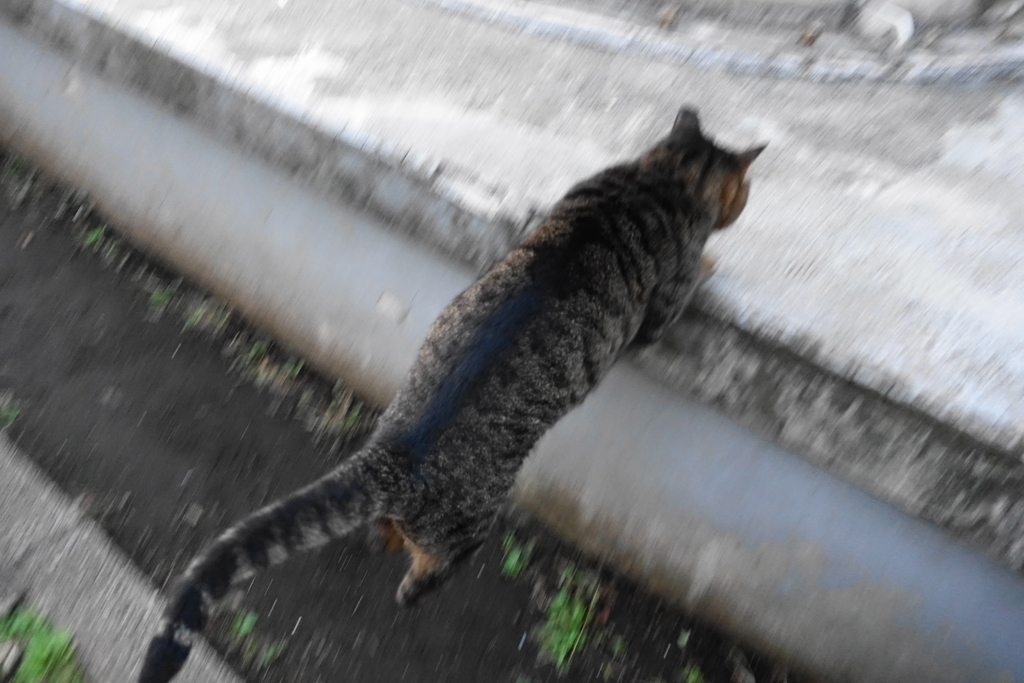 f:id:shigeo-t:20181113103908j:plain