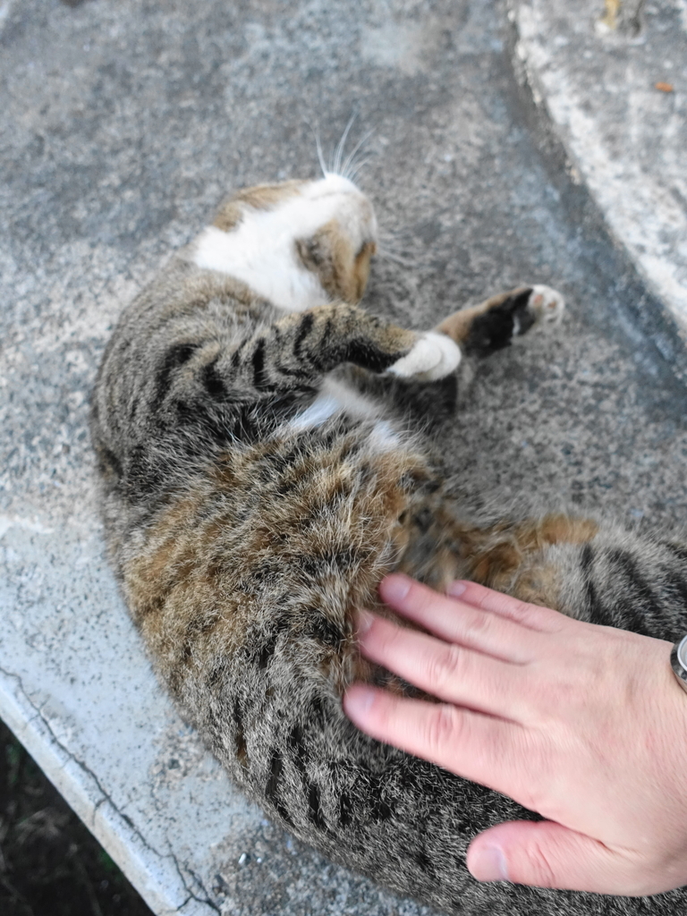 f:id:shigeo-t:20181113104007j:plain