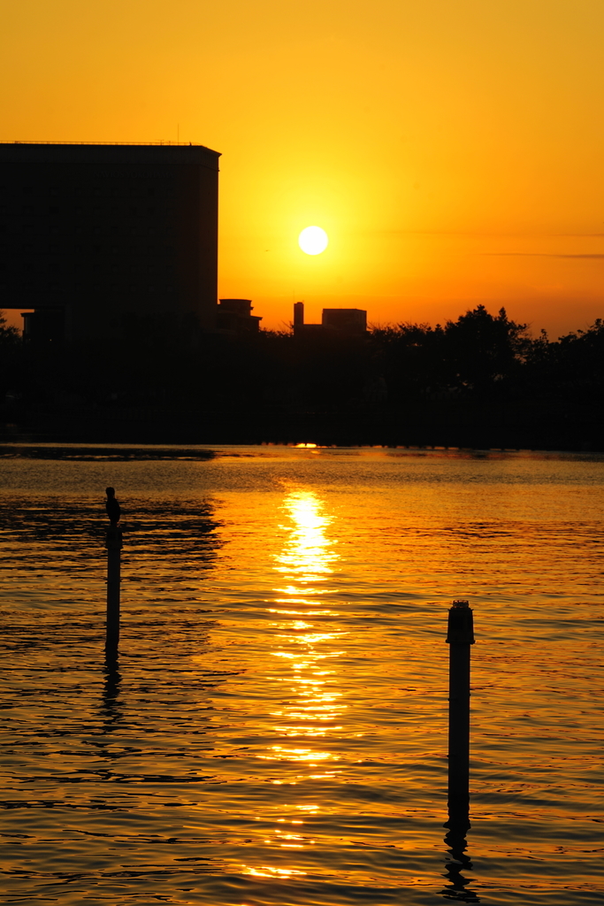 f:id:shigeo-t:20181113104433j:plain