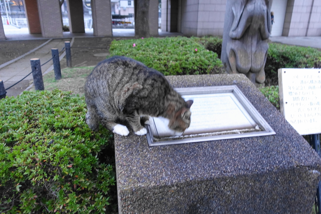 f:id:shigeo-t:20181118104207j:plain f:id:shigeo-t:20181118104207j:plain