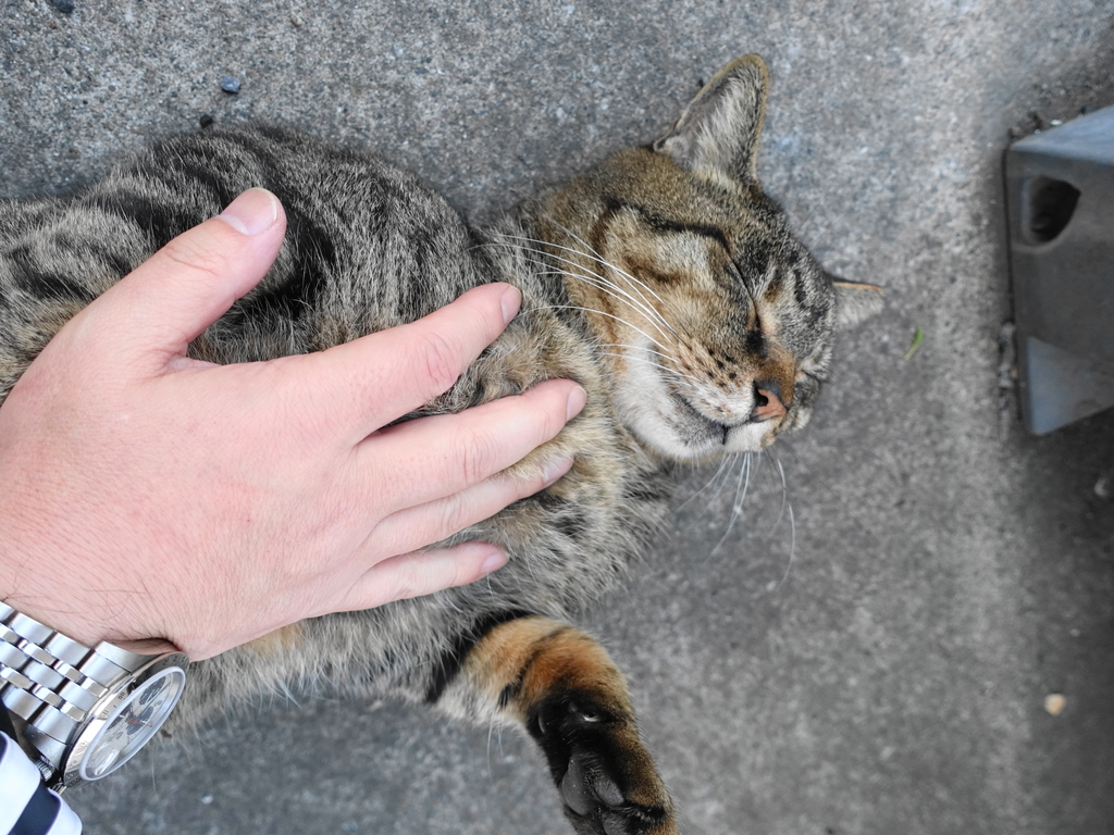 f:id:shigeo-t:20181130094907j:plain f:id:shigeo-t:20181130094907j:plain
