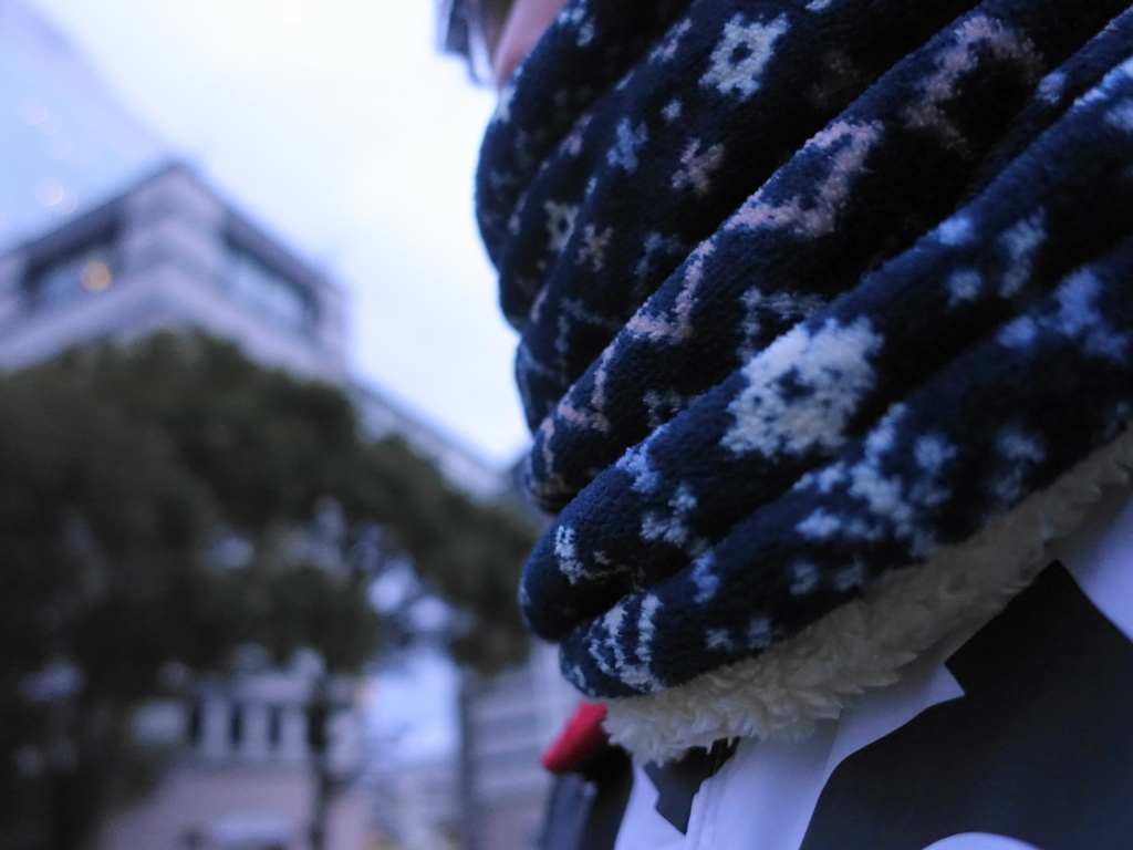 f:id:shigeo-t:20181210100939j:plain