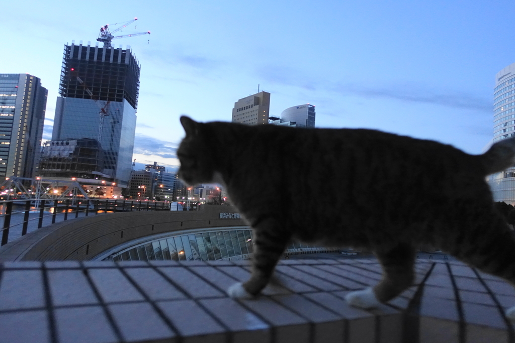 f:id:shigeo-t:20181216120206j:plain f:id:shigeo-t:20181216120206j:plain