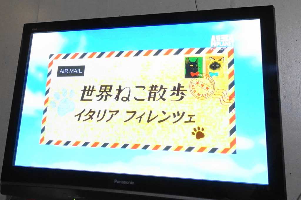 f:id:shigeo-t:20181220114551j:plain