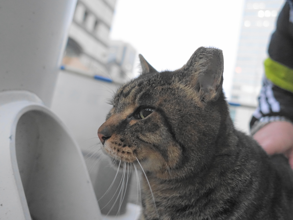 f:id:shigeo-t:20181225112718j:plain f:id:shigeo-t:20181225112718j:plain