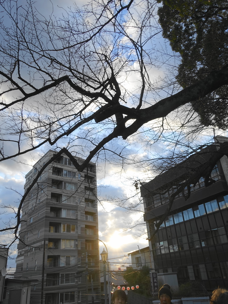 f:id:shigeo-t:20190101104300j:plain f:id:shigeo-t:20190101104300j:plain
