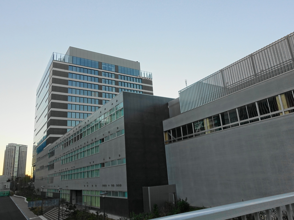 f:id:shigeo-t:20190103103617j:plain f:id:shigeo-t:20190103103617j:plain