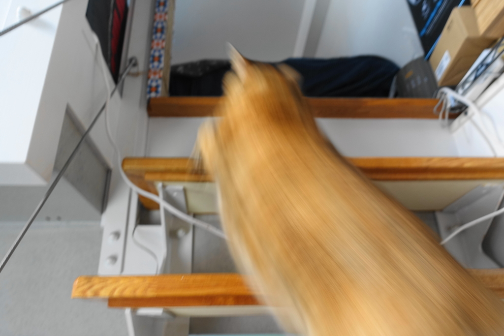 f:id:shigeo-t:20190104113905j:plain