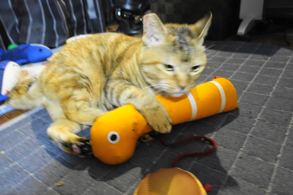 f:id:shigeo-t:20190106103336j:plain f:id:shigeo-t:20190106103336j:plain