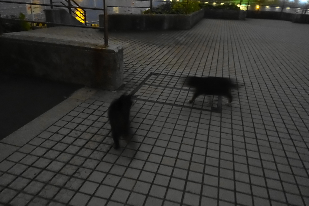 f:id:shigeo-t:20190110120030j:plain