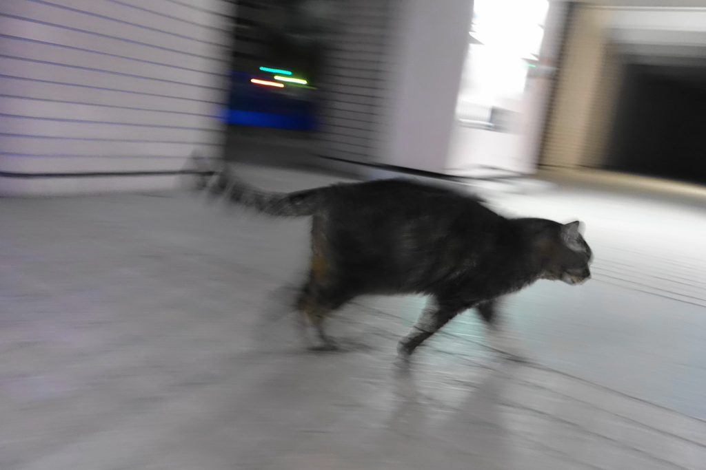 f:id:shigeo-t:20190116093244j:plain
