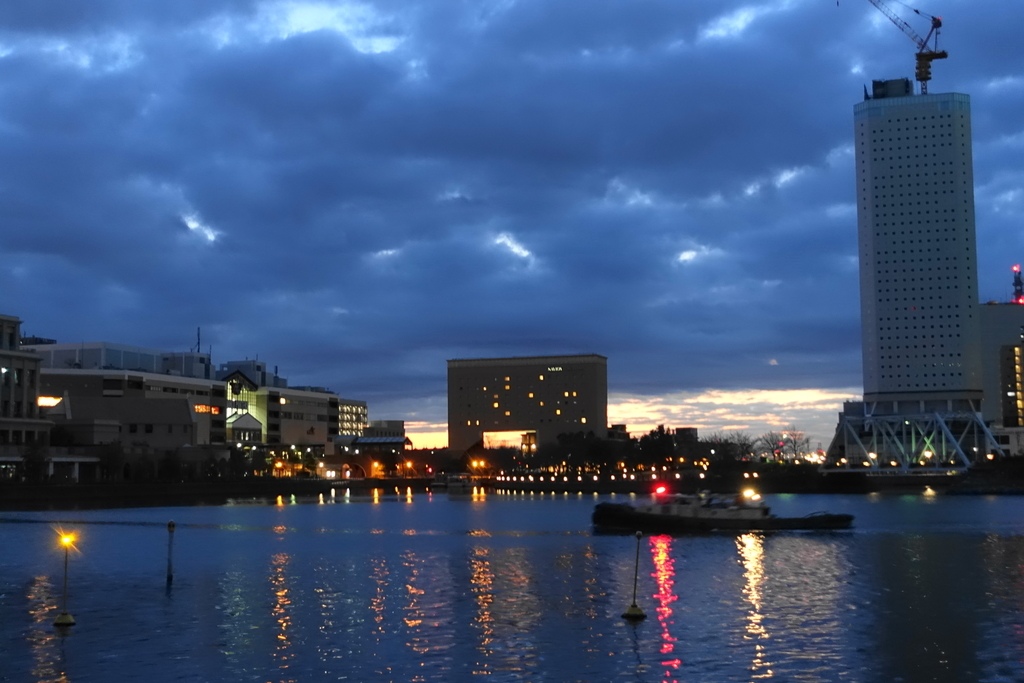 f:id:shigeo-t:20190130105758j:plain f:id:shigeo-t:20190130105758j:plain