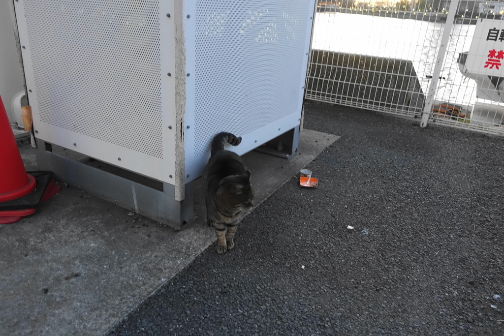 f:id:shigeo-t:20190202091028j:plain
