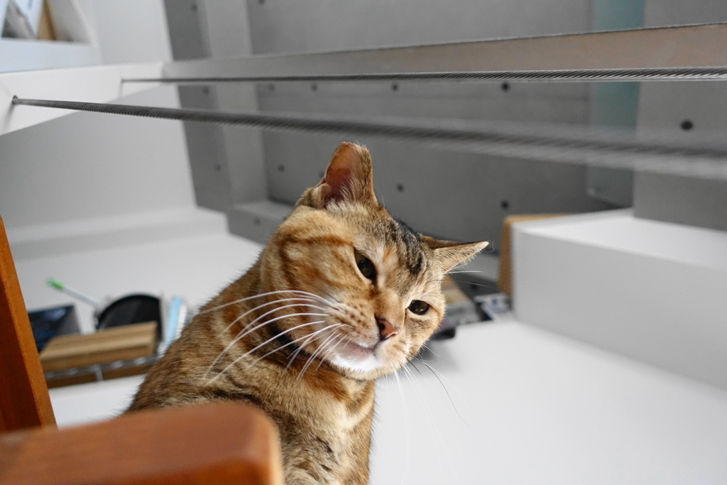 f:id:shigeo-t:20190204090320j:plain f:id:shigeo-t:20190204090320j:plain