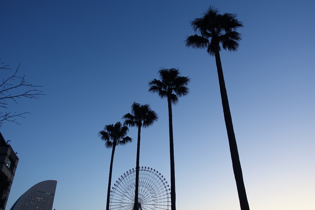 f:id:shigeo-t:20190212103406j:plain f:id:shigeo-t:20190212103406j:plain