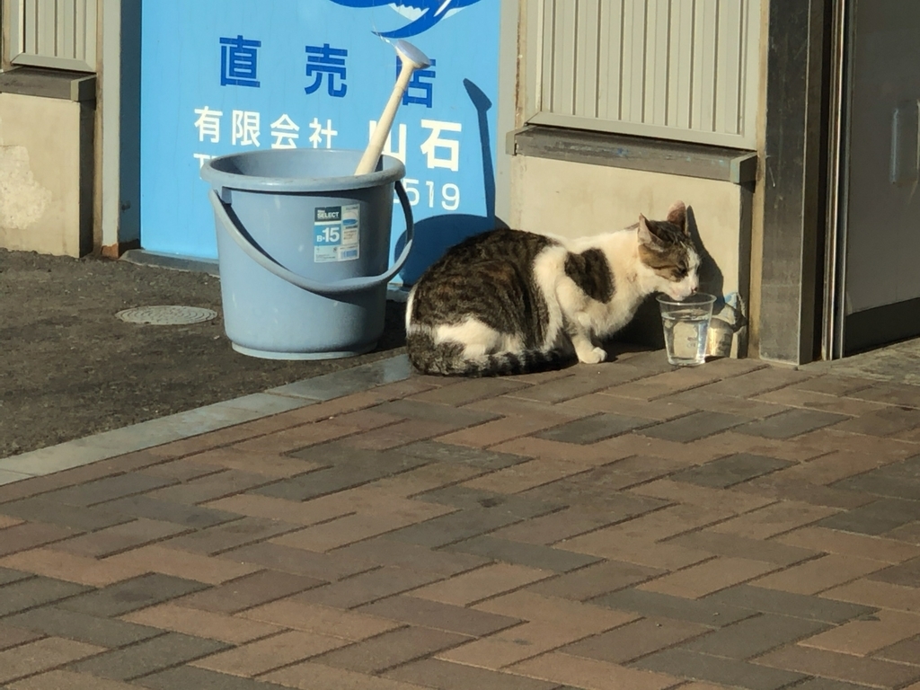 f:id:shigeo-t:20190224110939j:plain