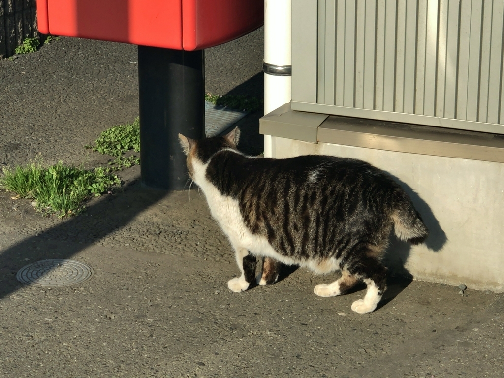 f:id:shigeo-t:20190224110942j:plain