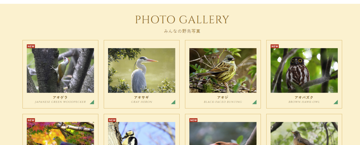 f:id:shigeo-t:20190314110421p:plain f:id:shigeo-t:20190314110421p:plain