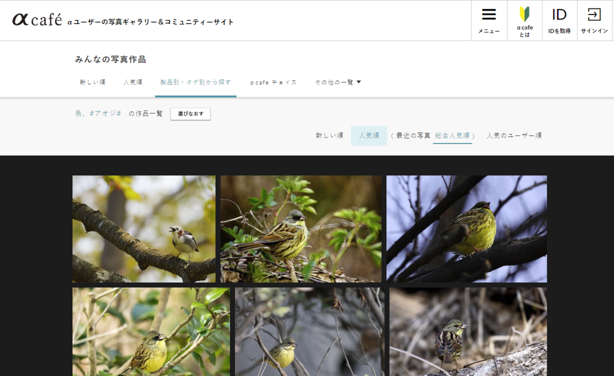 f:id:shigeo-t:20190314110816p:plain f:id:shigeo-t:20190314110816p:plain