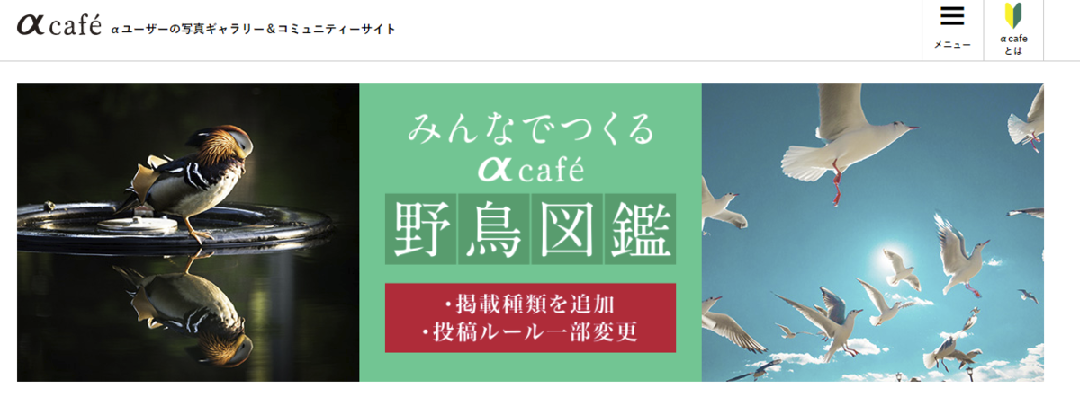 f:id:shigeo-t:20190314111434p:plain f:id:shigeo-t:20190314111434p:plain