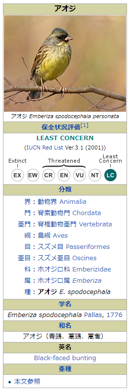 f:id:shigeo-t:20190314111748p:plain f:id:shigeo-t:20190314111748p:plain