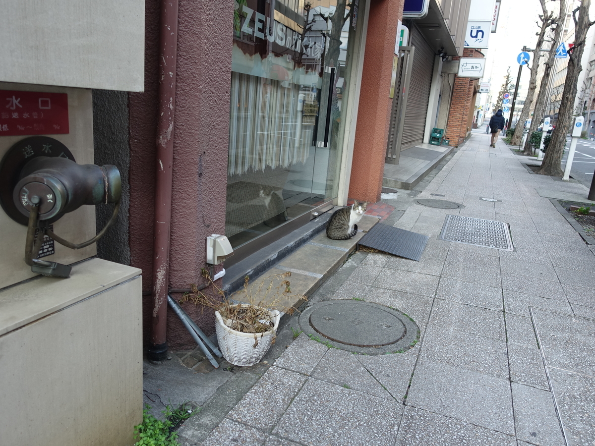 f:id:shigeo-t:20190316094802j:plain f:id:shigeo-t:20190316094802j:plain