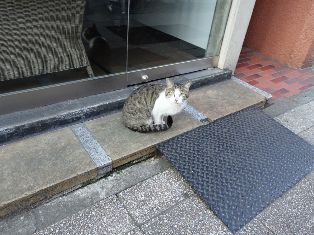 f:id:shigeo-t:20190316094835j:plain f:id:shigeo-t:20190316094835j:plain