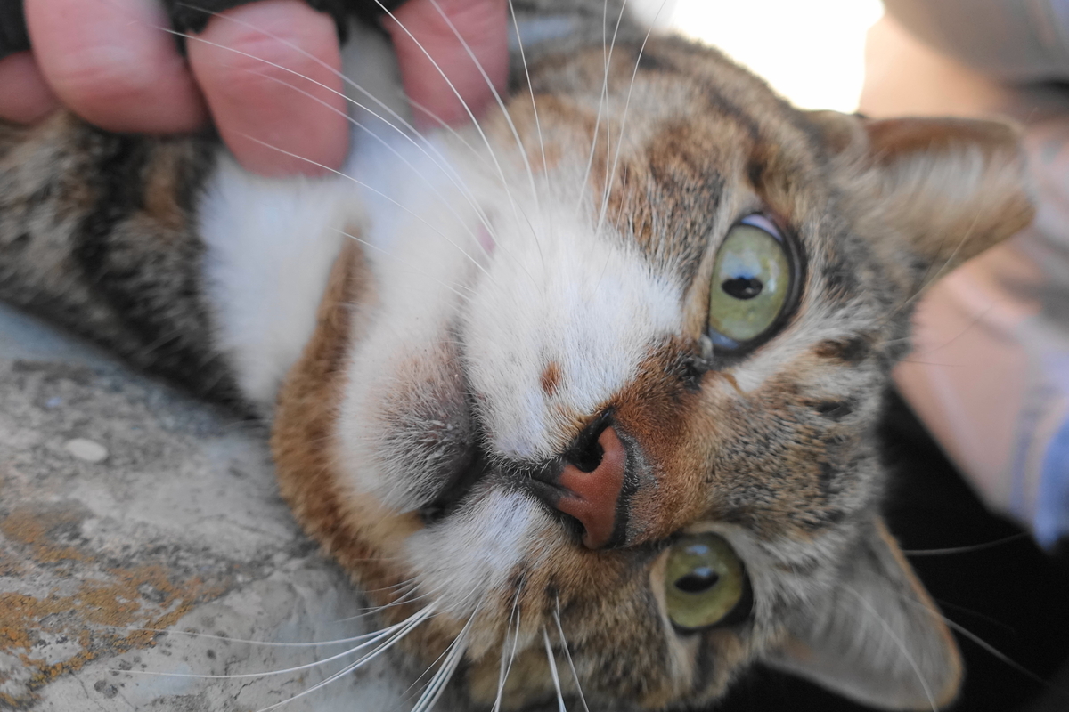 f:id:shigeo-t:20190316100318j:plain f:id:shigeo-t:20190316100318j:plain