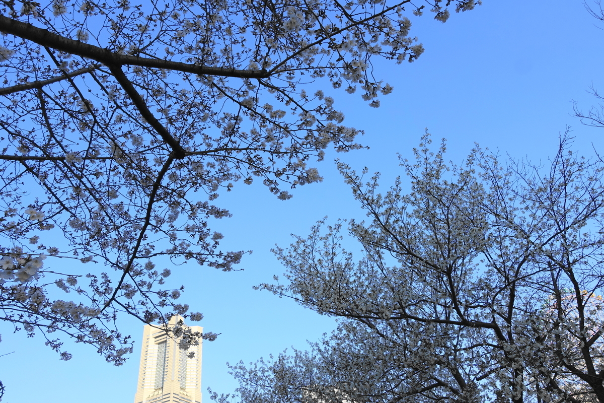 f:id:shigeo-t:20190328105113j:plain