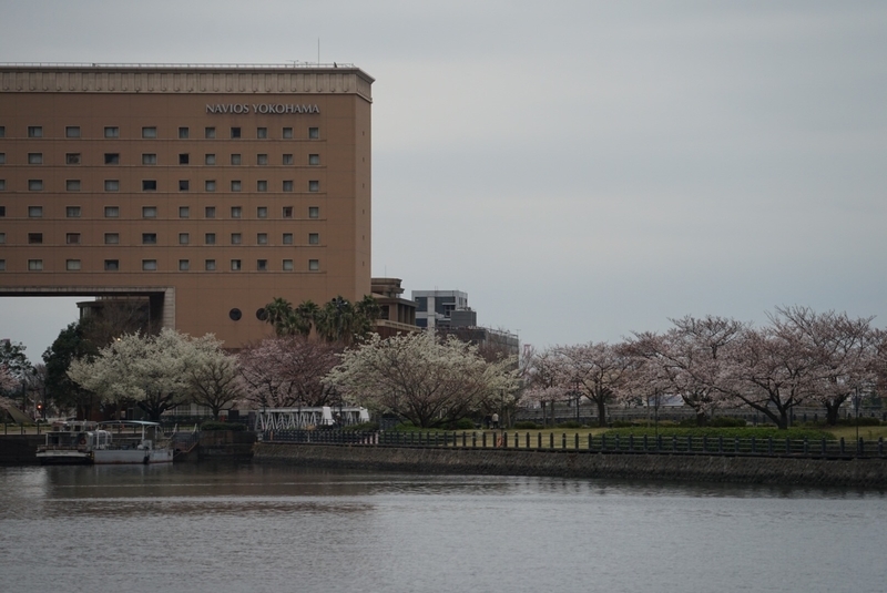 f:id:shigeo-t:20190329070126j:plain