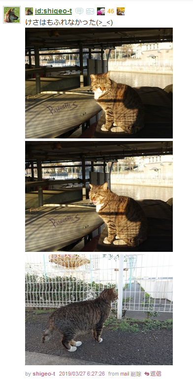 f:id:shigeo-t:20190330111356p:plain f:id:shigeo-t:20190330111356p:plain