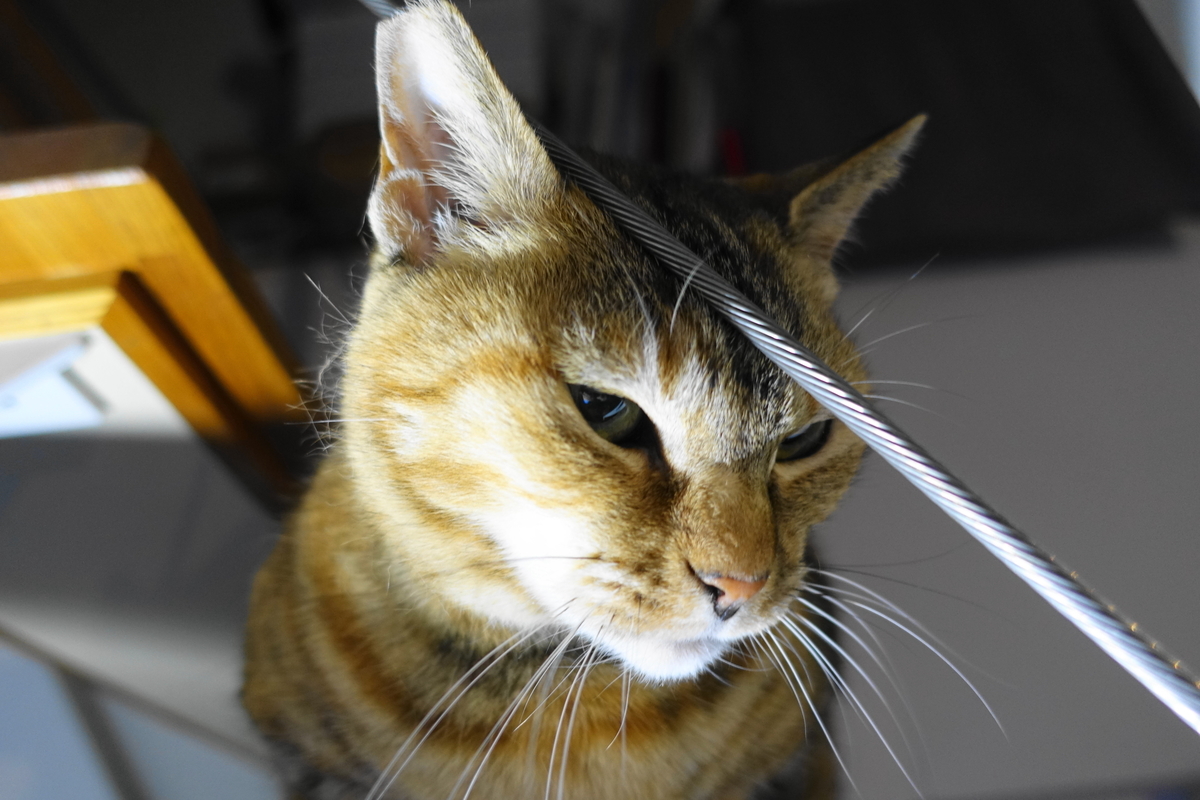 f:id:shigeo-t:20190404100904j:plain