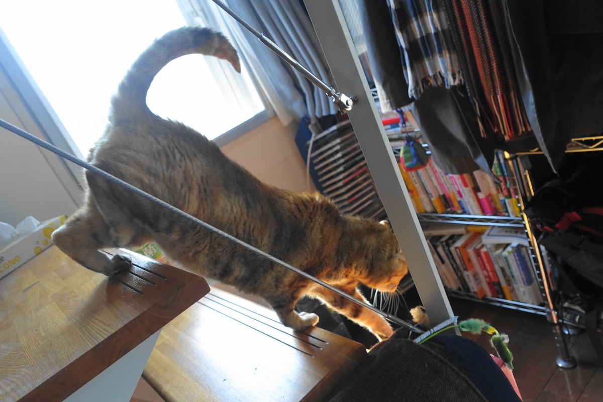 f:id:shigeo-t:20190404101406j:plain