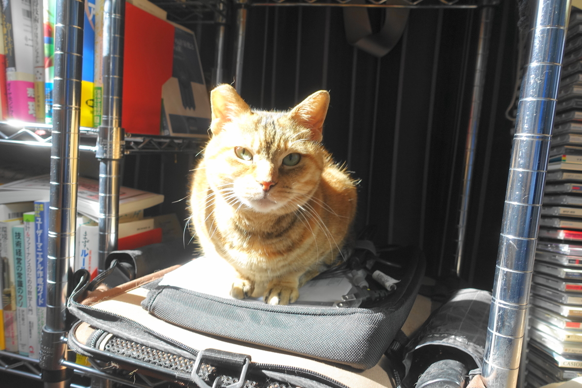 f:id:shigeo-t:20190404101636j:plain