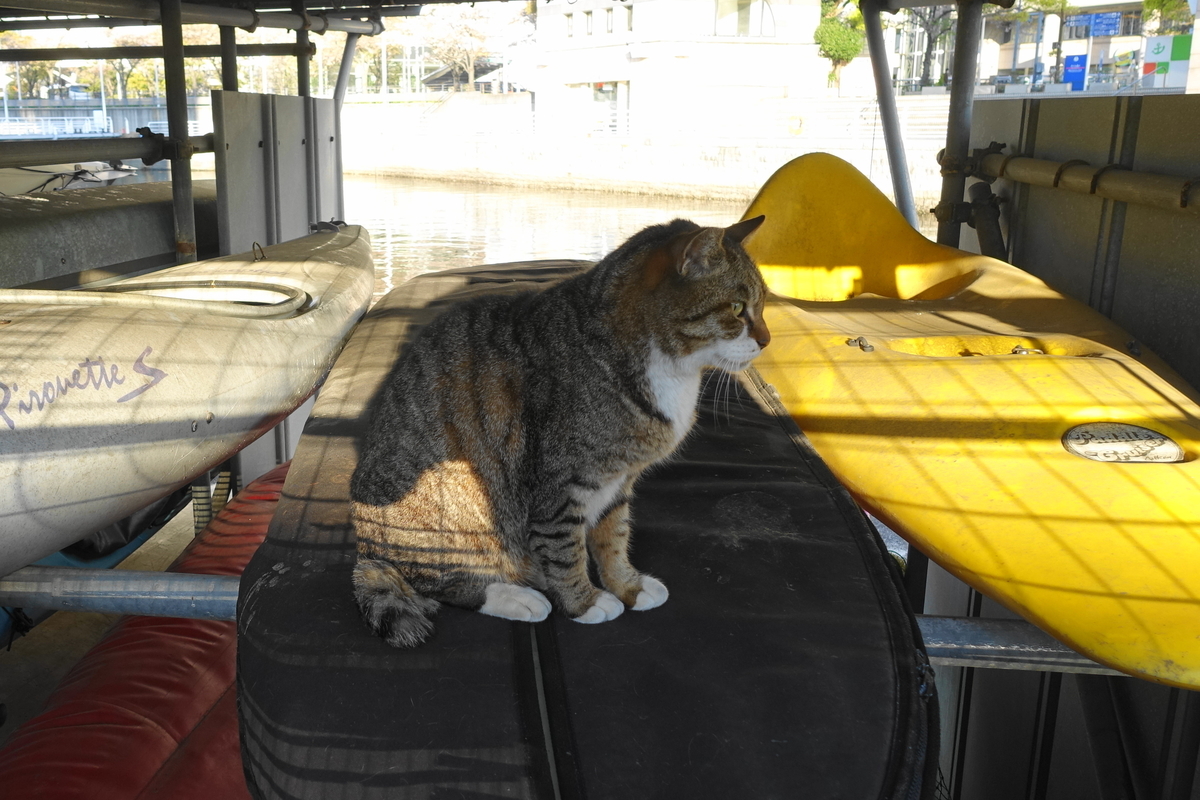 f:id:shigeo-t:20190416093827j:plain