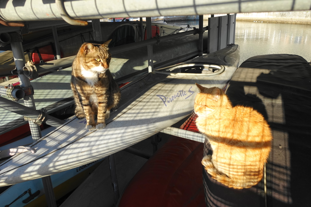 f:id:shigeo-t:20190416100526j:plain