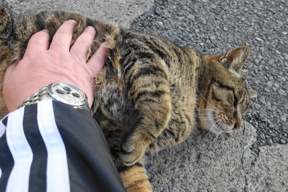 f:id:shigeo-t:20190423091257j:plain