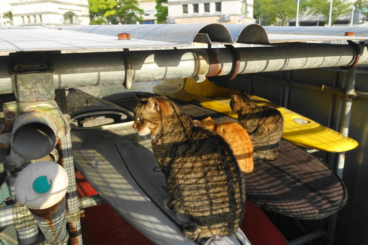 f:id:shigeo-t:20190423091445j:plain