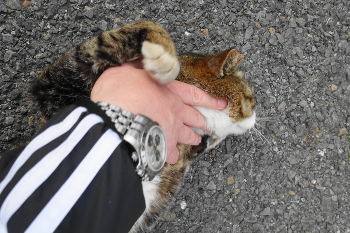 f:id:shigeo-t:20190427103023j:plain f:id:shigeo-t:20190427103023j:plain