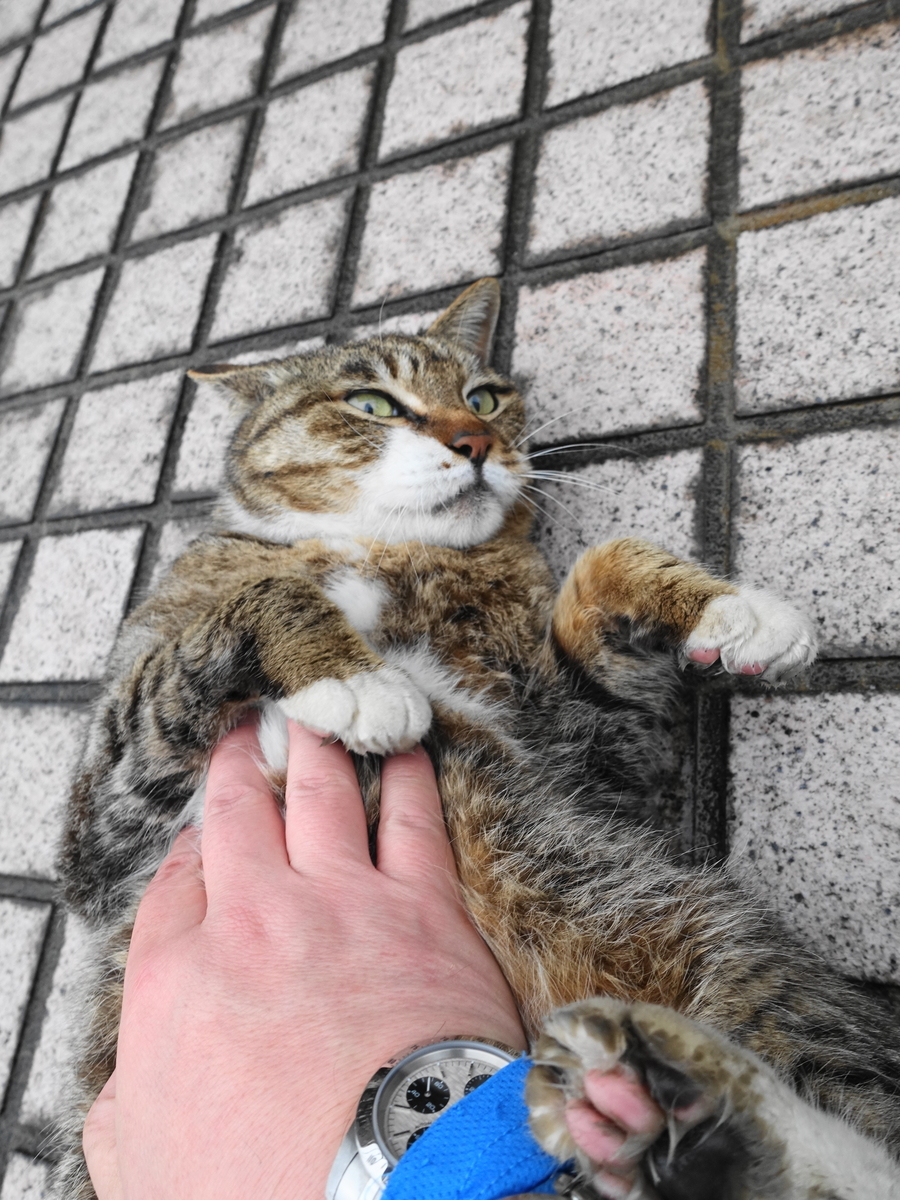f:id:shigeo-t:20190429090333j:plain f:id:shigeo-t:20190429090333j:plain