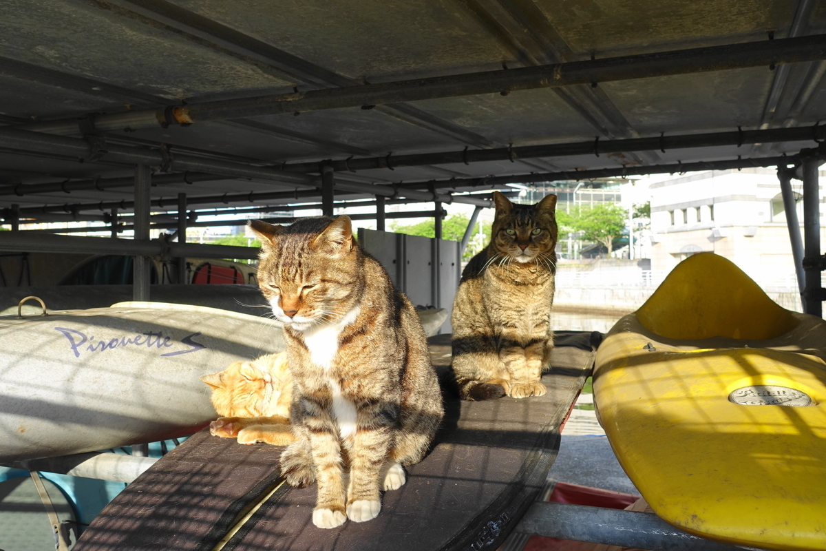 f:id:shigeo-t:20190507094220j:plain