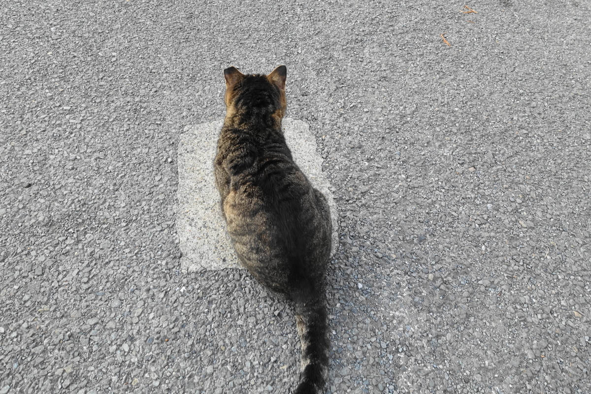 f:id:shigeo-t:20190507094719j:plain