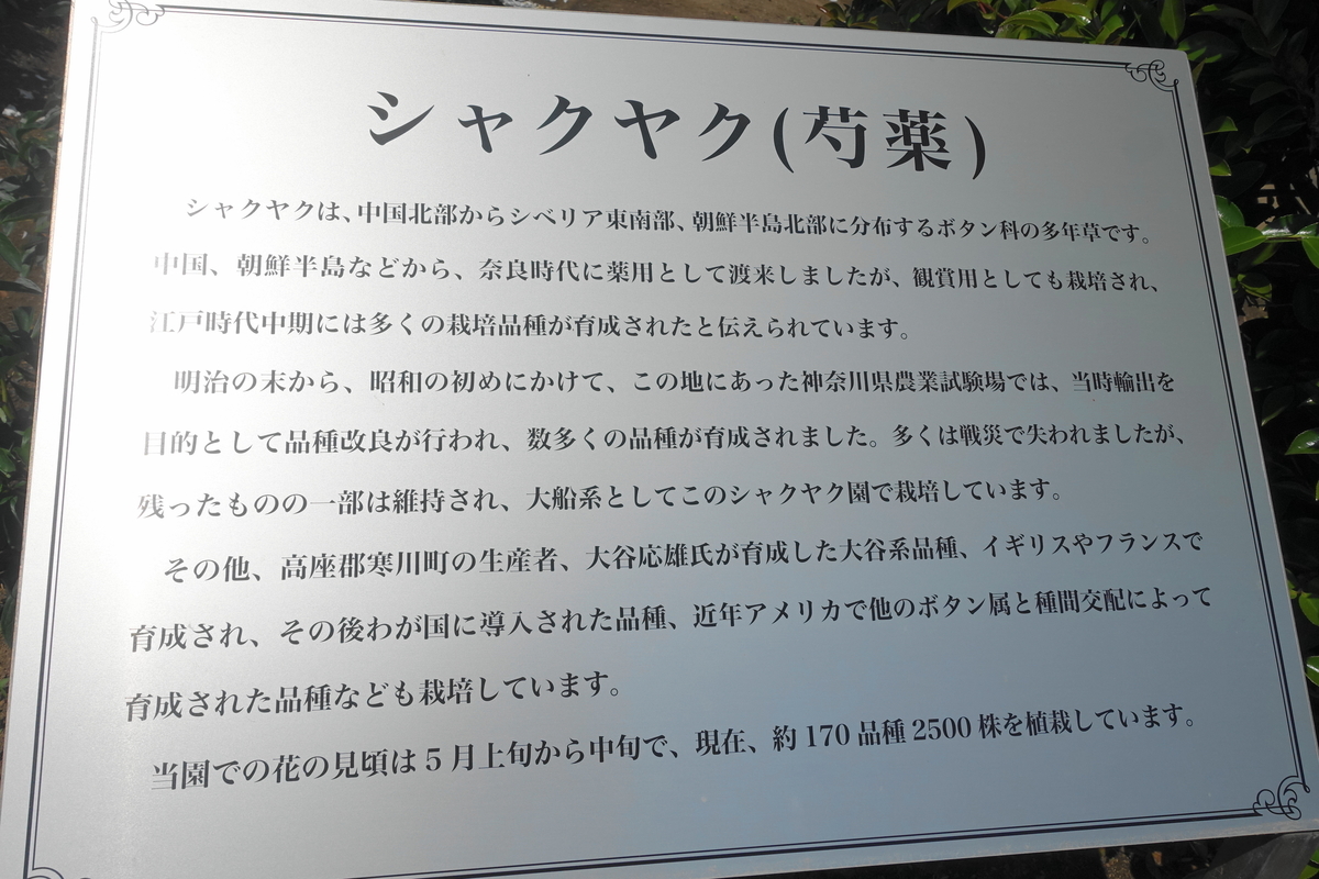 f:id:shigeo-t:20190516123140j:plain