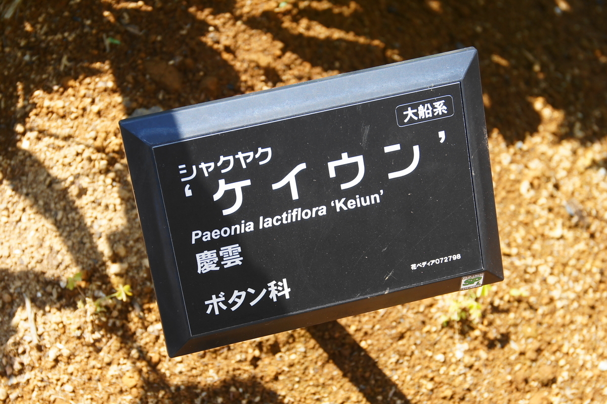 f:id:shigeo-t:20190516123508j:plain