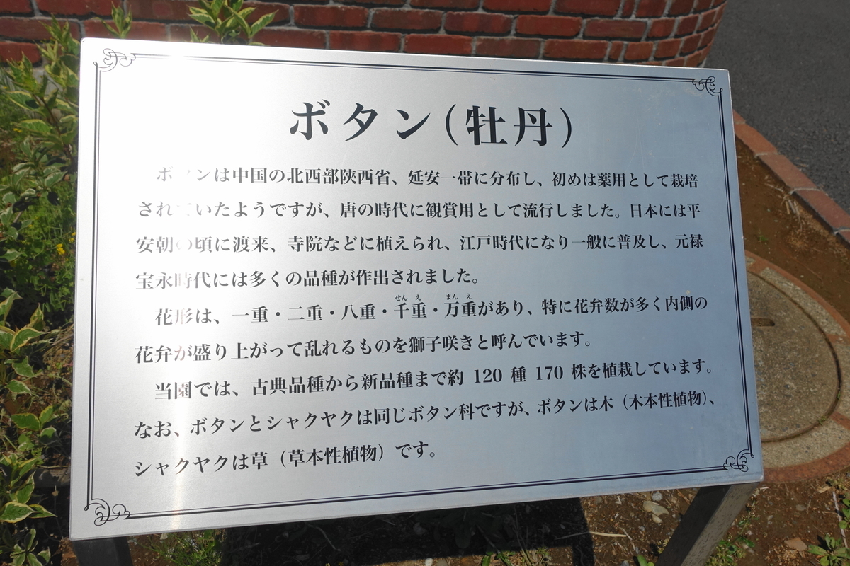 f:id:shigeo-t:20190516123754j:plain