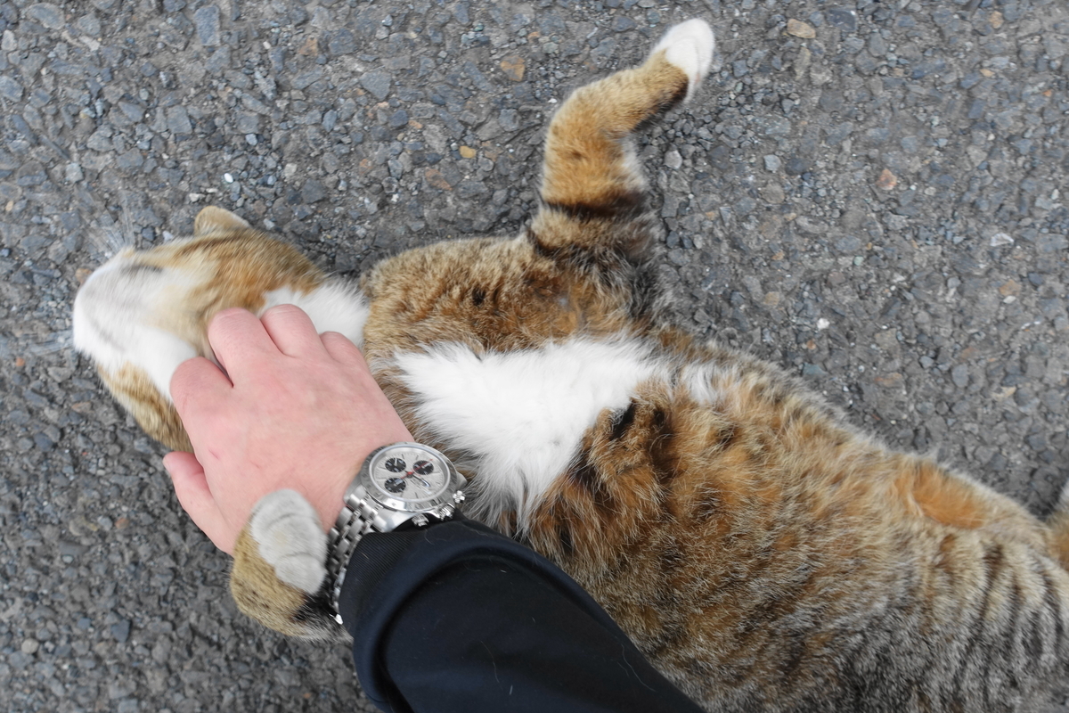 f:id:shigeo-t:20190519111711j:plain f:id:shigeo-t:20190519111711j:plain