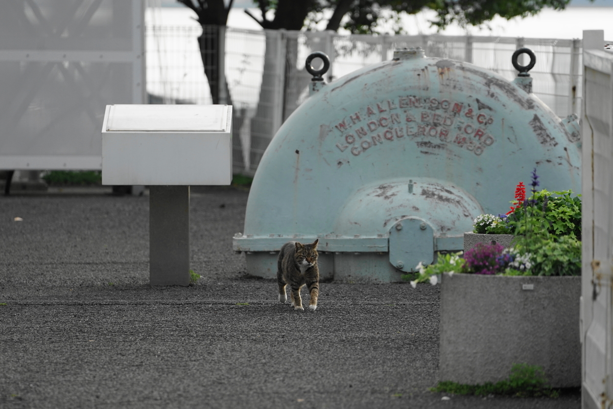 f:id:shigeo-t:20190519112823j:plain f:id:shigeo-t:20190519112823j:plain