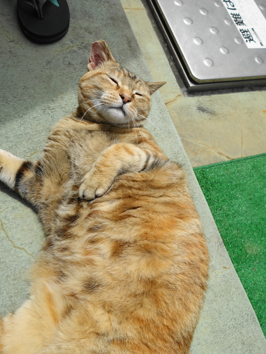 f:id:shigeo-t:20190520101040j:plain