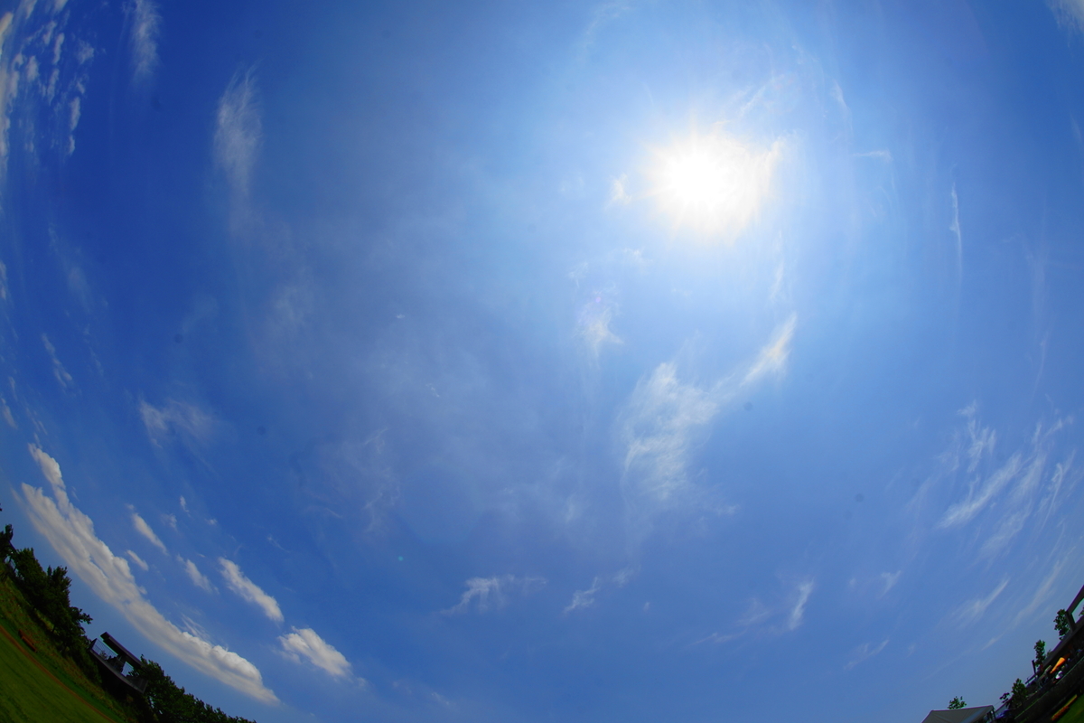 f:id:shigeo-t:20190522144845j:plain