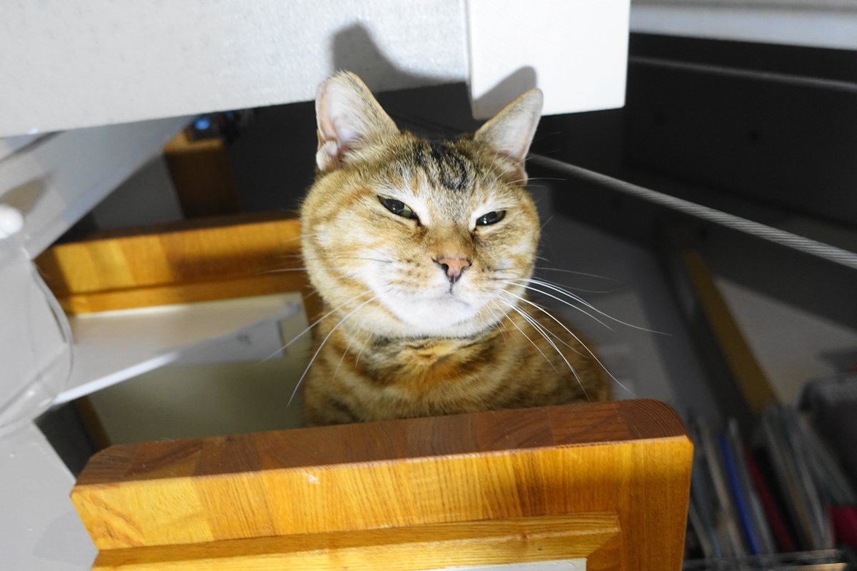 f:id:shigeo-t:20190523100711j:plain